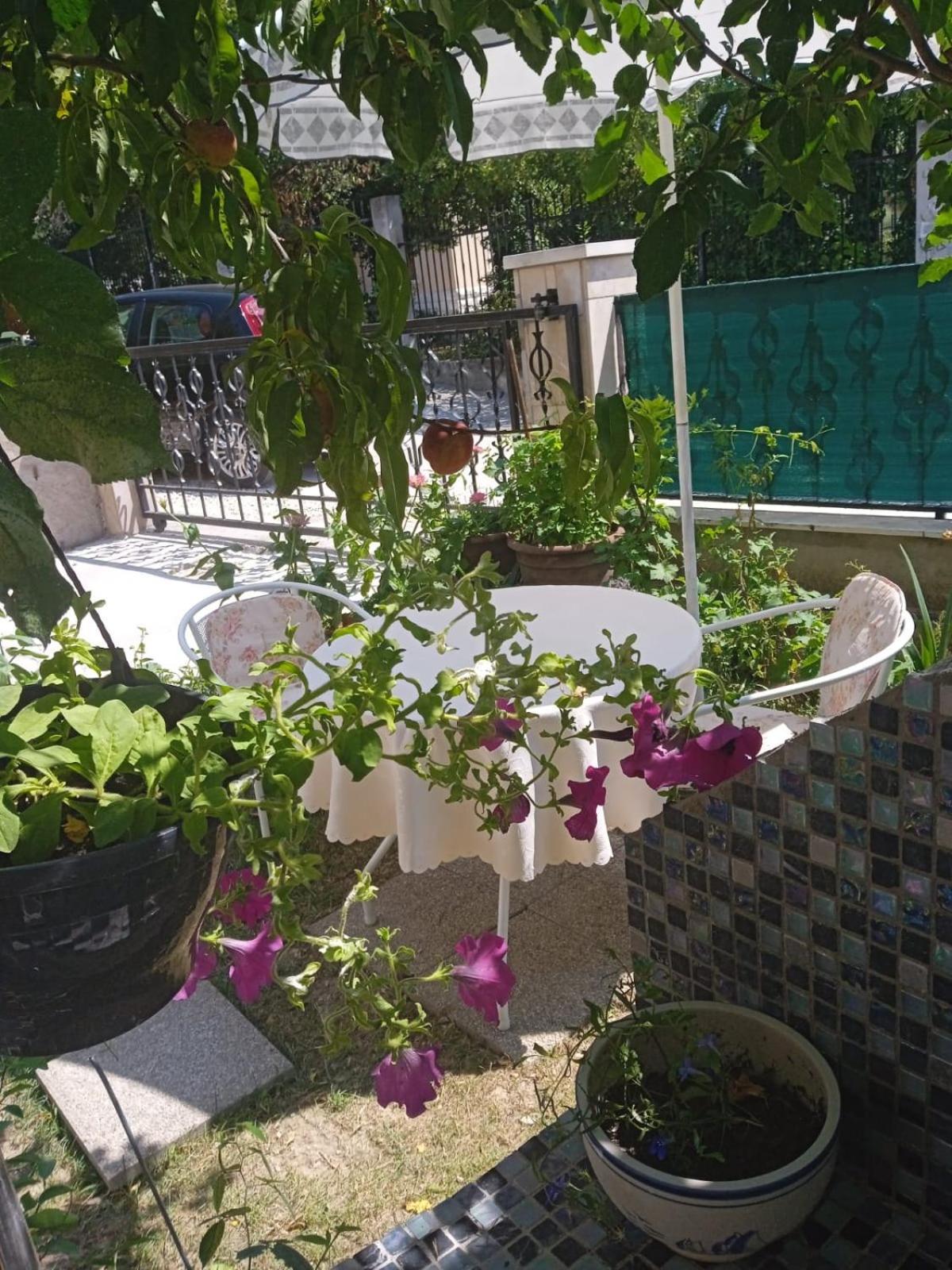 Pelivan Apartments Kaštela Quarto foto